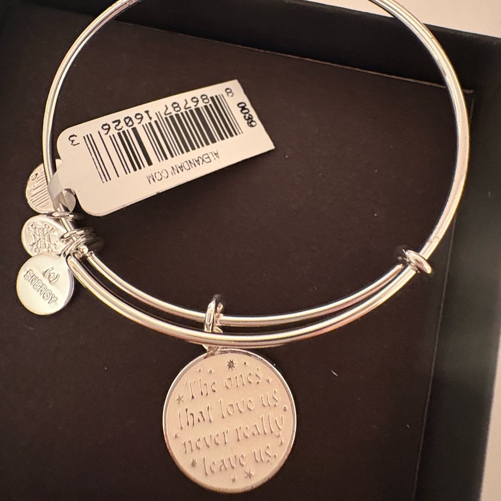 Alex and Ani Silver Harry Potter Charm Bracelet